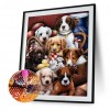 Dogs - Full Square Diamond Painting(40*50cm)