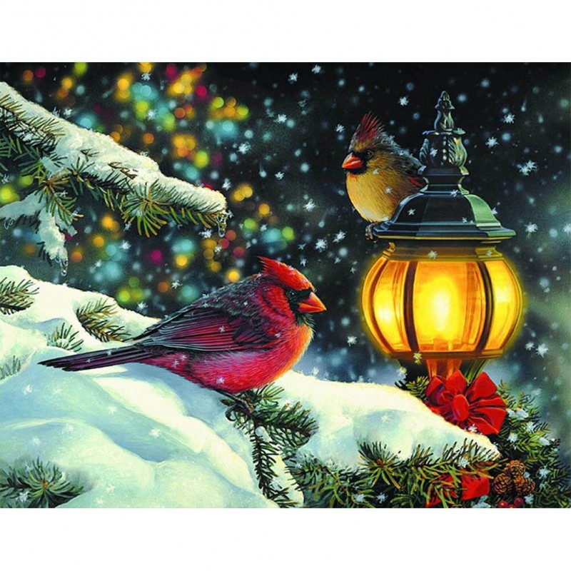 Winter Birds -Full R...