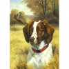 Dog - Full Round Diamond Painting