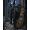 Black Cat - Full Round Diamond Painting