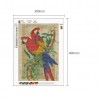 Parrot - Full Round Diamond Painting