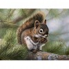 Squirrel - Full Round Diamond Painting