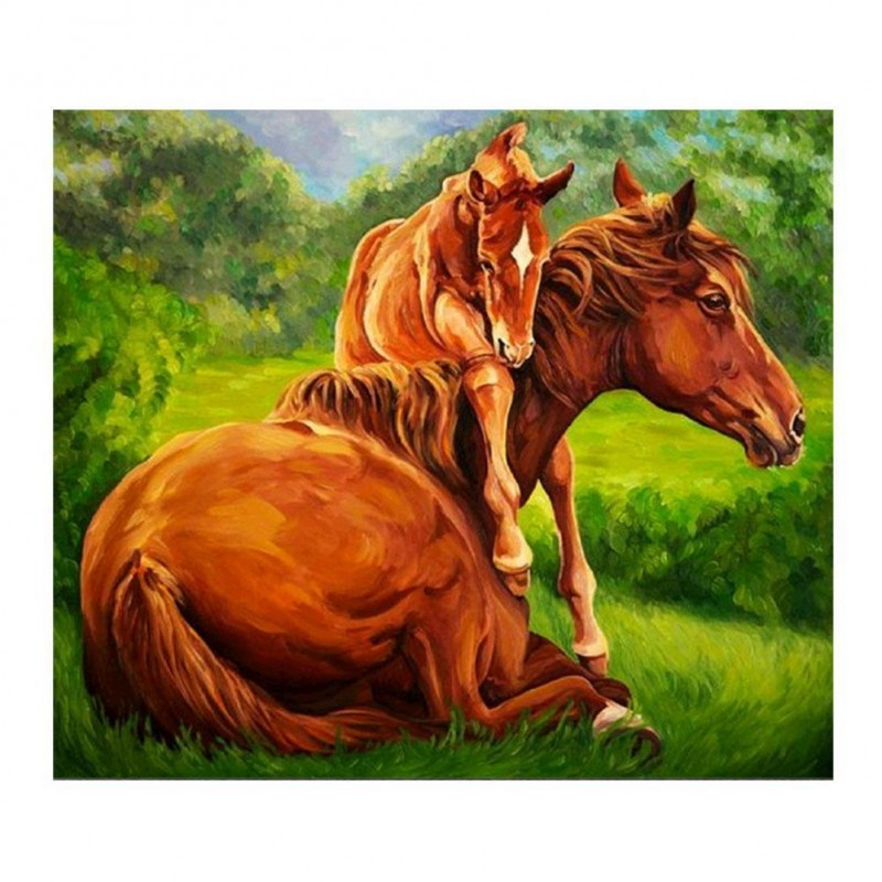 Horse - Partial Roun...