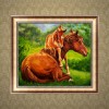 Horse - Partial Round Diamond Painting