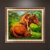Horse - Partial Round Diamond Painting