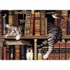 Cat in Shelf - Full Round Diamond Painting