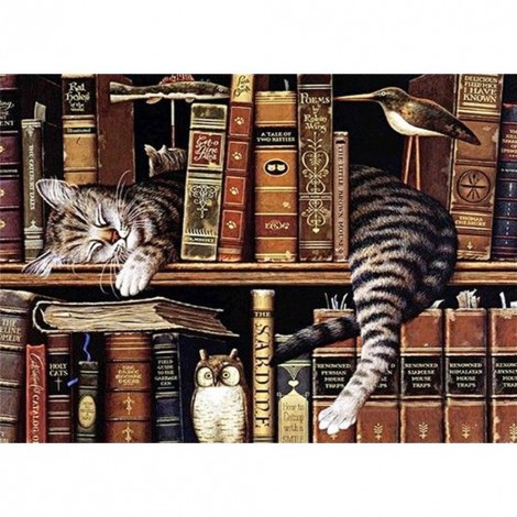 Cat in Shelf - Full Round Diamond Painting