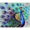 Peacock - Full Square Diamond Painting(40x50cm)