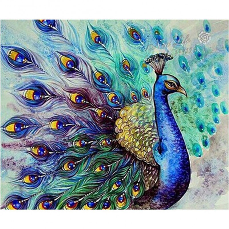 Peacock - Full Squar...