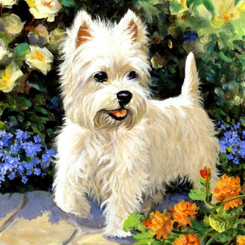 Dog - Full Round Dia...