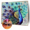 Peacock - Full Square Diamond Painting(40x50cm)