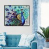 Peacock - Full Square Diamond Painting(40x50cm)