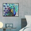 Peacock - Full Square Diamond Painting(40x50cm)