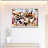 Animals-Full Square Diamond Painting