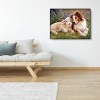 Dog and Sheep - Full Round Diamond Painting