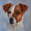 Dog - Full Round Diamond Painting
