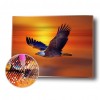 Eagle - Full Round Diamond Painting