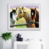 Horses- Full Round Diamond Painting