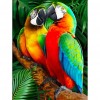 Parrots - Full Round Diamond Painting