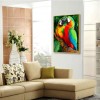Parrots - Full Round Diamond Painting