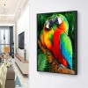 Parrots - Full Round Diamond Painting