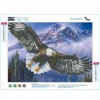 Eagle - Partial Round Diamond Painting