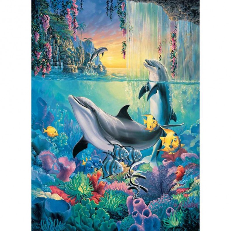 Dolphin - Full Round...