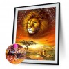Lion - Full Round Diamond Painting