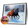 Horse - Full Square Diamond Painting(40x50cm)