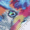 Colorful Cat - Partial Round Diamond Painting