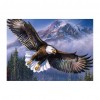 Flying Eagle - Full Round Diamond Painting