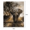 Elephant - Full Round Diamond Painting