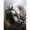 White Horse - Full Square Diamond Painting