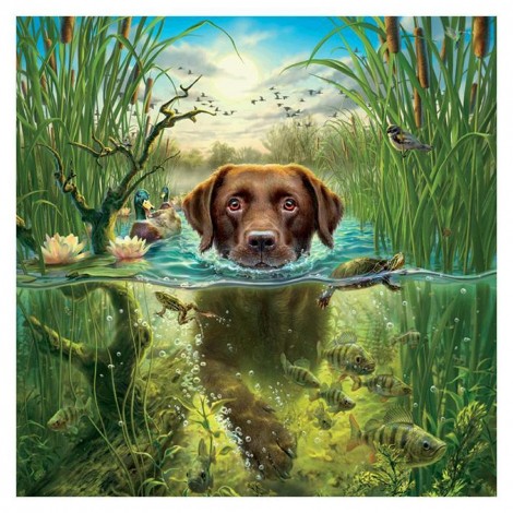 Swimming Dog - Full Round Diamond Painting