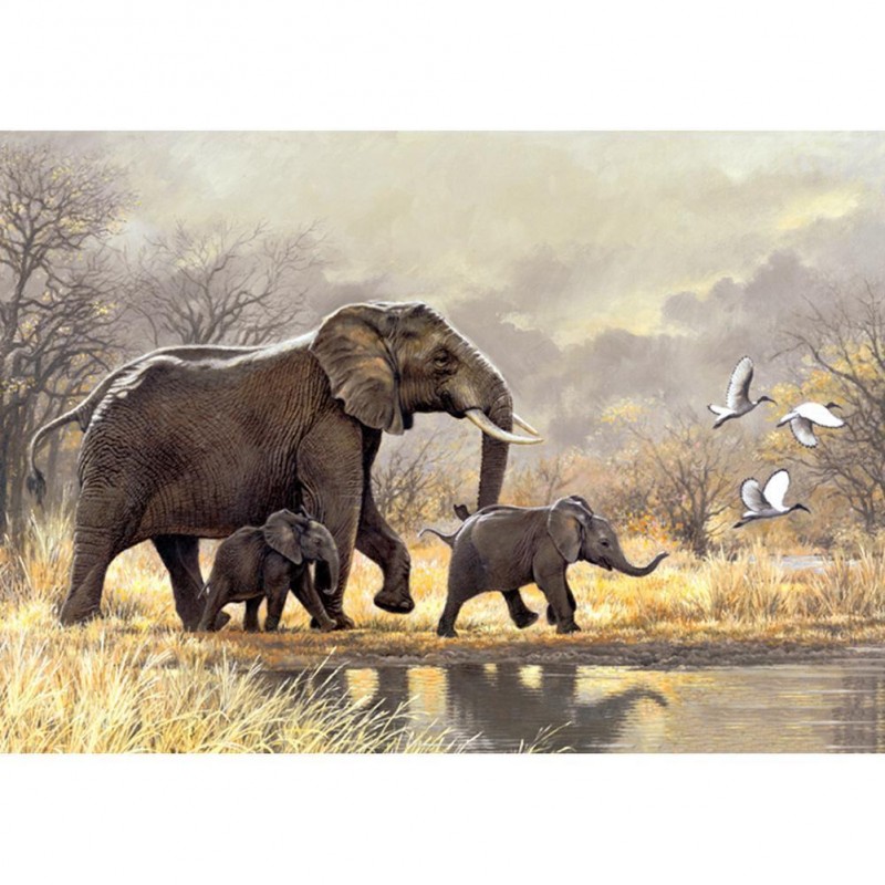 Elephants Family - F...