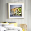 Tiger -Full Round Diamond Painting
