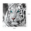 Tiger - Full Round Diamond Painting