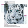 Tiger - Full Round Diamond Painting