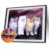 Cat Family- Full Round Diamond Painting