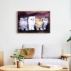 Cat Family- Full Round Diamond Painting