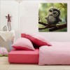 Little Owl - Full Round Diamond Painting