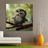 Little Owl - Full Round Diamond Painting