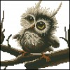 Little Owl - Full Round Diamond Painting