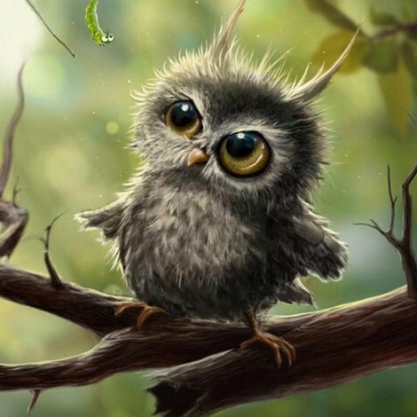 Little Owl - Full Round Diamond Painting