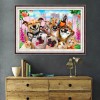 Dogs - Full Round Diamond Painting