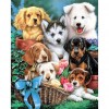 Dogs - Full Round Diamond Painting