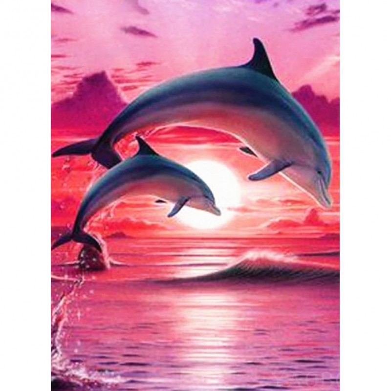 Dolphin in Red Sea -...