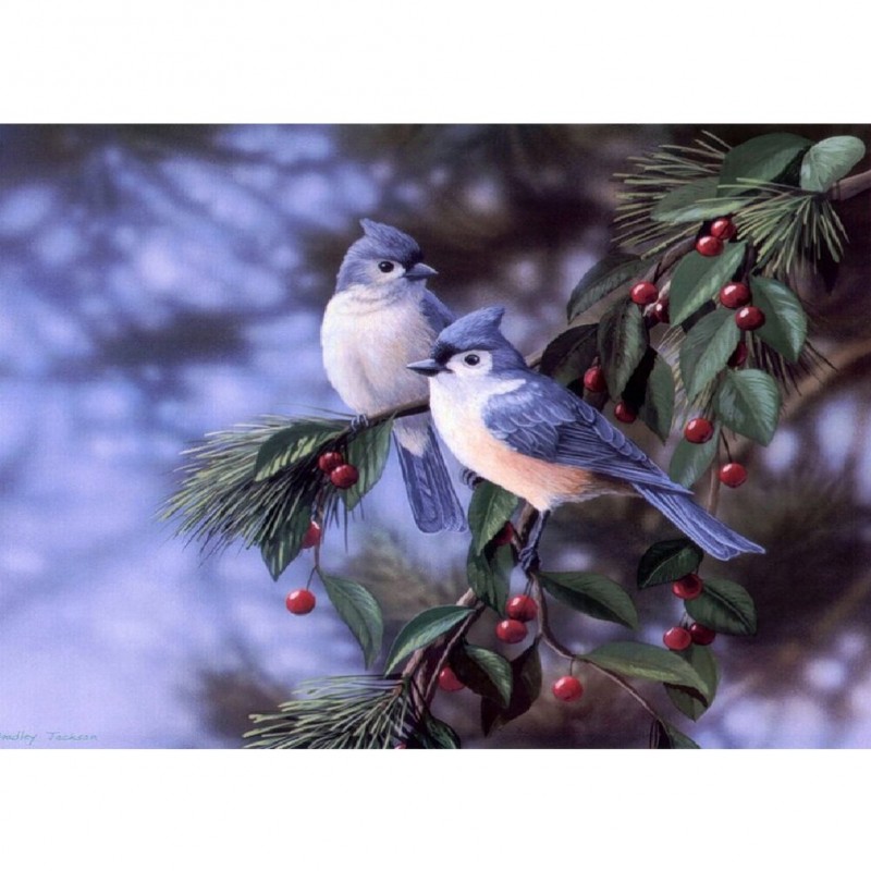 Cuckoo- Full Round D...