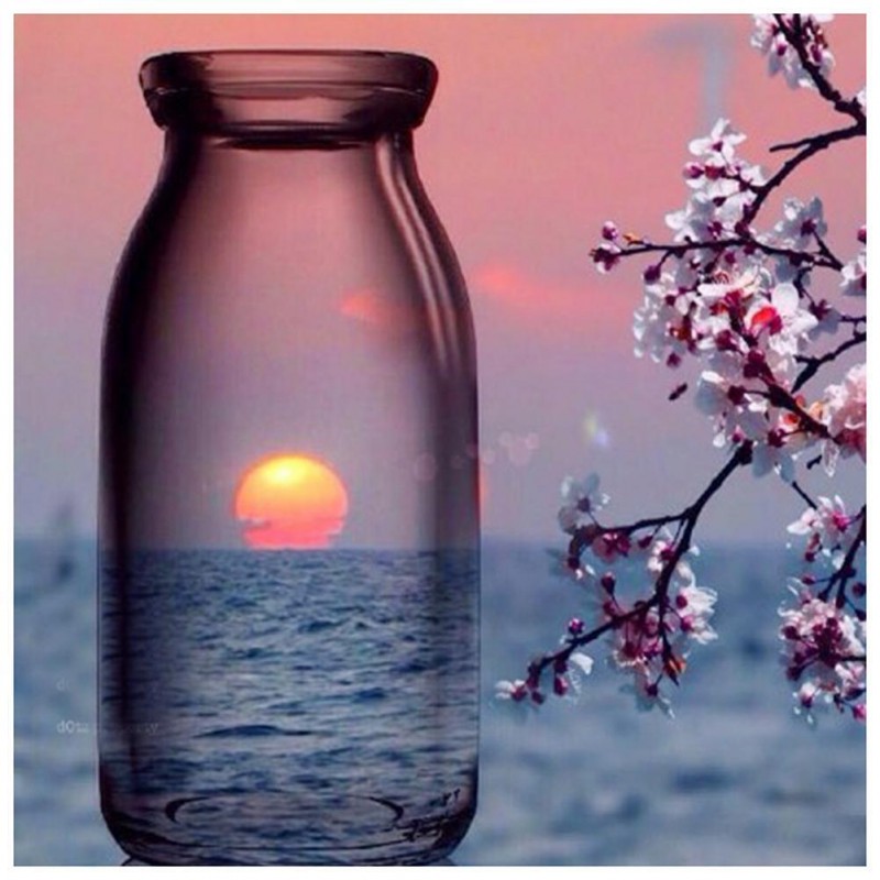 Bottle Sun Flower - ...