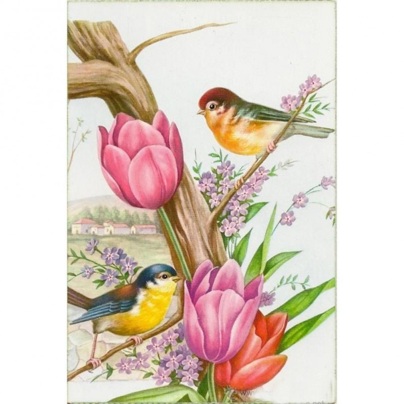 Flower Bird - Full R...